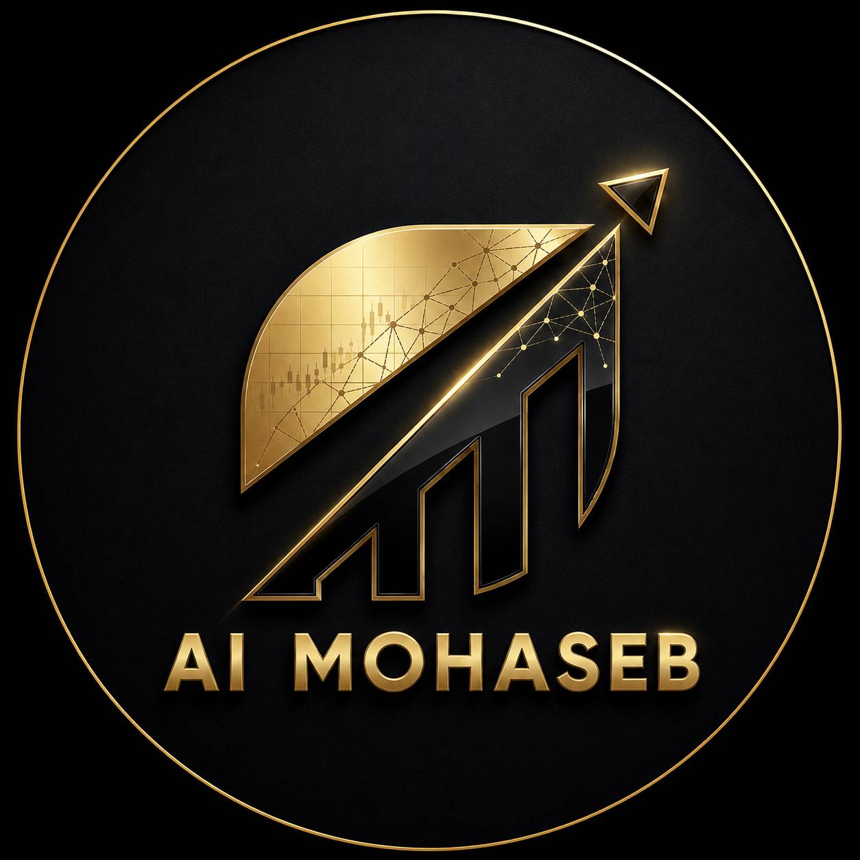 اشخاص حقوقی - تحول گران نوین محاسب امین